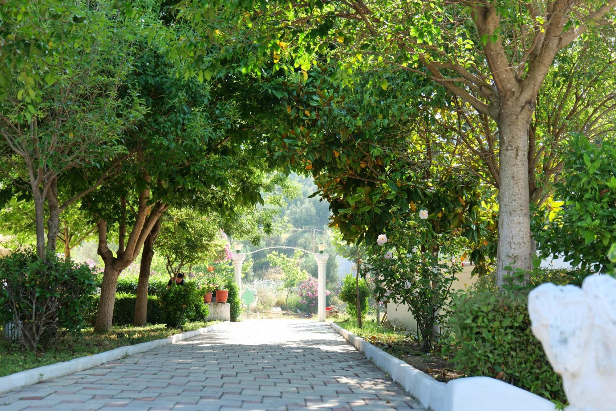 Edva Resort Radhime Exterior photo